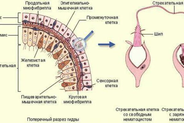 Кракен шоп ссылки