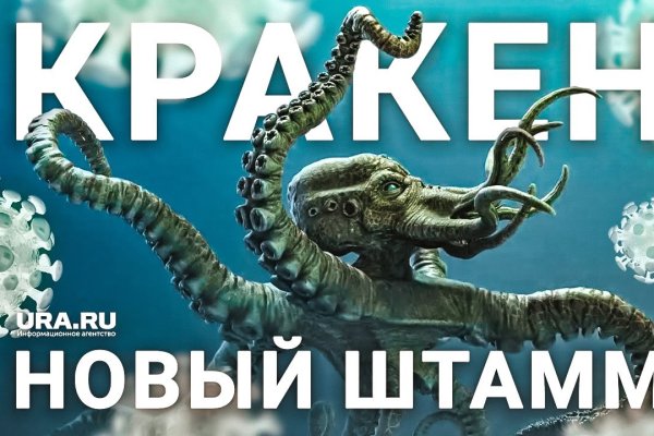 Какой кракен сейчас работает
